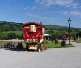 Rosie traditional Gypsy Wagon